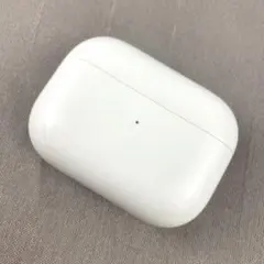 Apple AirPods Pro 第一世代 A2190 充電ケース