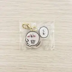 ナガノキャラクターズ アザラシ アクリル チャーム ナガノ ガチャ