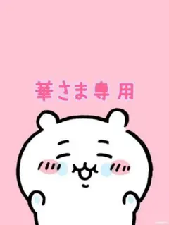 ︎華さま専用です♡♡