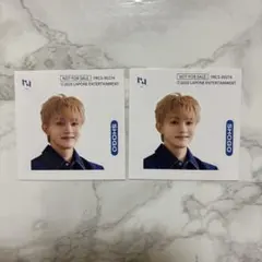 INI PULSE 田島将吾 ステッカー