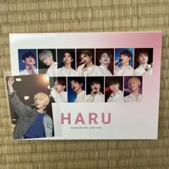 seventeen haru Blu-ray トレカ付き