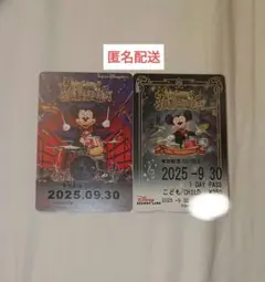 ビッグバンドビート リゾラ フリーきっぷ 最終日 2種セット