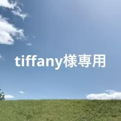 tiffany様専用商品251118a2