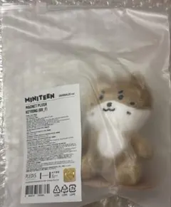 SEVENTEEN ディノ チャンダリ ペンライトカバー MINITEEN - メルカリ