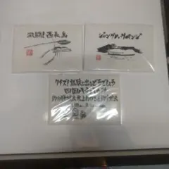 水曜どうでしょう ポストカード 大泉洋 ムンクさん - メルカリ