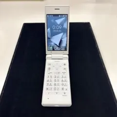 Item thumbnail for item 3c344799-a49b-46b7-b37d-61658babe2c8