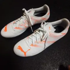 Item thumbnail for item ed128da3-0405-4840-bbcc-47ef0cfeeab7