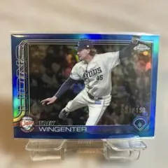 Item thumbnail for item 5c7799fb-c231-4556-a04e-aed70f973c38