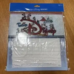 不織布マスク付きマスクケース　ディズニー