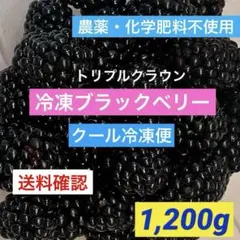 完熟ブラックベリー　1.2Kg 送料込み　クール冷凍便　農薬不使用　生食・加工用のサムネイル