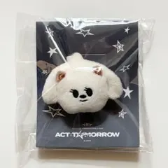 2026年最新】txt プルバトゥ バムグッの人気アイテム - メルカリ