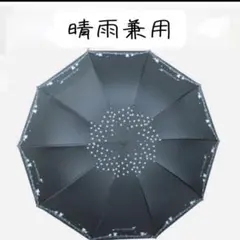 Item thumbnail for item c508831b-1a4a-4d1e-a5af-6e039457ed6f