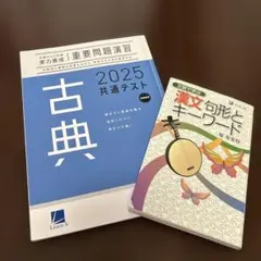 (ベネッセ)2025共テ古典演習&(Z-KAI)漢文 句形とキーワードのセット