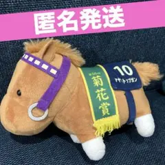 2026年最新】マヤノトップガンぬいぐるみの人気アイテム - メルカリ