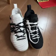 NIKE LEBRON 16 イクオリティ