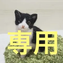 ぺこ様専用