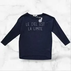 Item thumbnail for item c8378701-91af-4701-840c-478f806a98d7