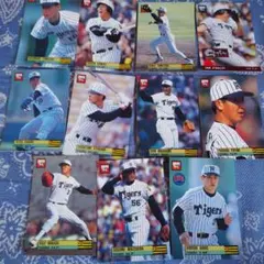 Item thumbnail for item d18d7cb9-e66c-4c1c-8a02-dc72575090cb