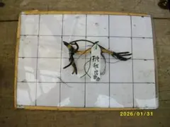 トラファルガー様 リクエスト 2点 まとめ商品