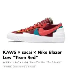 NIKE ナイキ Blaze