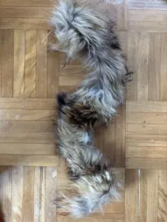 Item thumbnail for item 43e78f71-f895-4866-b213-3eb33bbad623