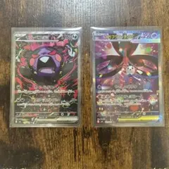 ポケモンカード モルペコex メガフラエッテex 2枚セット