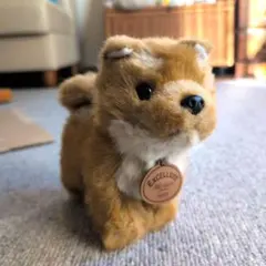 2026年最新】ファースト社 ぬいぐるみ 犬の人気アイテム - メルカリ