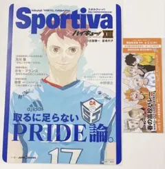 ハイキュー ショーセツバン アニメイト 特典 ビジュアルボード 影山飛