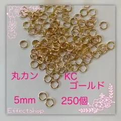 Item thumbnail for item d8b7d3ad-d299-4811-982e-ae376758518e