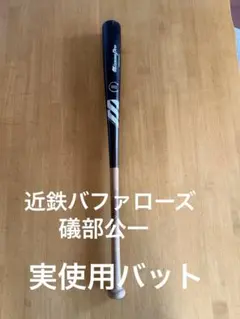 Item thumbnail for item 7b9c7350-def5-4110-aed3-74b766865ba5