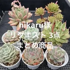 hikaru様 リクエスト 3点 まとめ商品