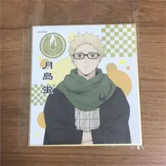 ハイキュー   色紙    “月島蛍”