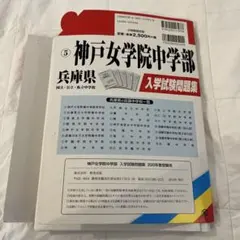 Item thumbnail for item f5128f33-286c-45c4-9858-1db4ff0a30bb