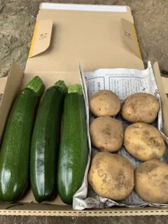 新鮮野菜セット ズッキーニとじゃがいも 詰め合わせのサムネイル