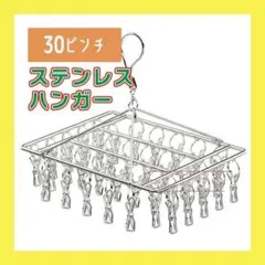 シルバー ステンレスハンガー ピンチハンガー 洗濯ばさみ 30ピンチ 物干し