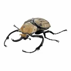 いきもの大図鑑アドバンス　カブトムシ04 エレファスゾウカブト フィギュア