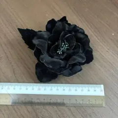 Item thumbnail for item 2fda6c61-9042-4b4d-8198-4d82166aa3f3