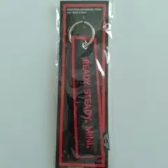 【非売品・未開封】MINI 純正 フライトタグ キーリングストラップ
