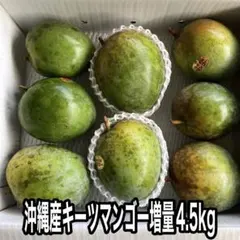 贈答品・秀品】沖縄県産 キーツマンゴー 4玉（JAおきなわ・未追熟