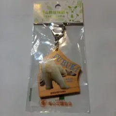 Item thumbnail for item 5e9c61ef-8400-4995-a9bb-f1379e630ab2