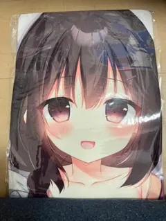 未開封/極美品/犬山たまき/男の娘/抱き枕カバー - メルカリ