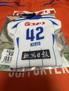 Item thumbnail for item c3a7ecbe-474c-414c-96ff-ca945a20cc7e