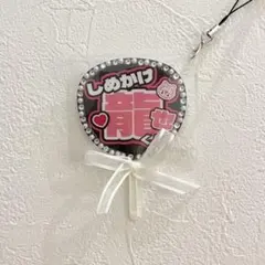 ぽんちゃん様 リクエスト 2点 まとめ商品