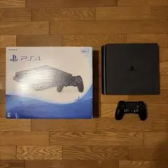 Play Station 4 500GB Jet Black