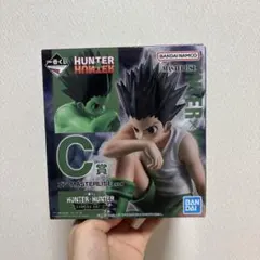 HUNTER x HUNTER ゴン C賞 MASTERLIZE