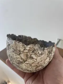 2025年最新】たけろうポットの人気アイテム - メルカリ