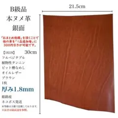 Item thumbnail for item 1cdab2fd-0af5-4412-be88-a6bb7cc3b1b0