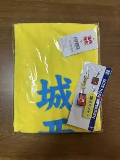 駅伝タオル&キーホルダー