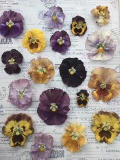 Item thumbnail for item 0fb4a3f4-b6c6-4901-8960-92a34dda1e48