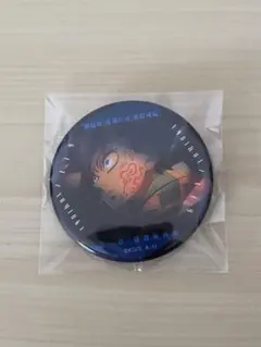 鬼滅の刃 ものがたる眼差し コレクション缶バッジ 無限城編 冨岡義勇 痣